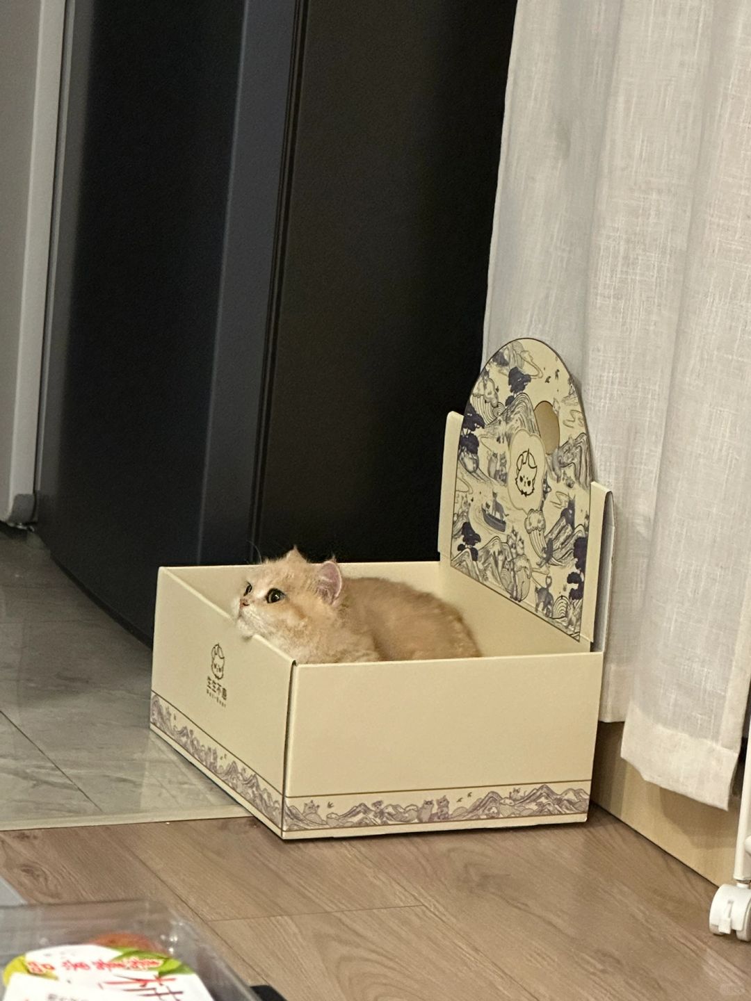 闲来无事 趴窝中