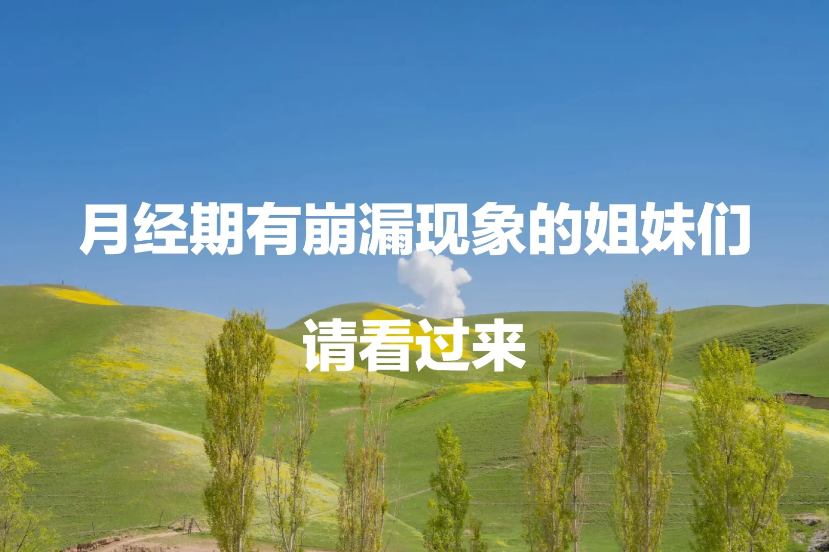 月经期有崩漏现象的姐妹们，请看过来