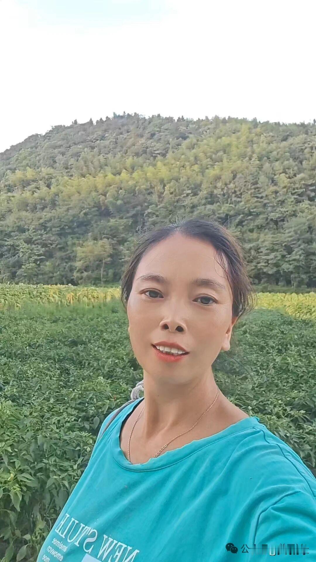 今天早上去了一趟娘家，还是从那条山里的小路走，好久没走了，这条路行人很少，我决定