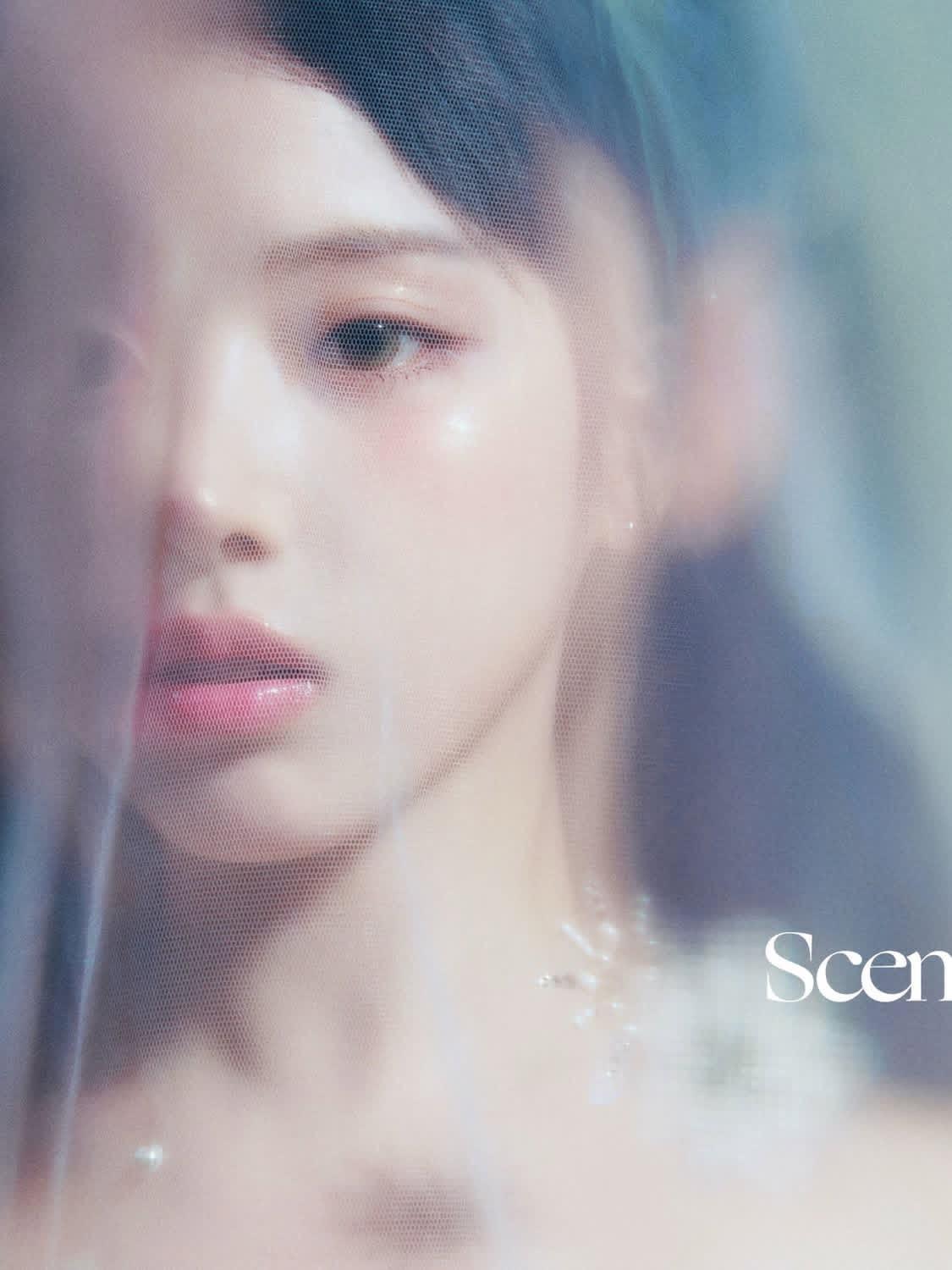 投稿【金智羽】所有人感受 