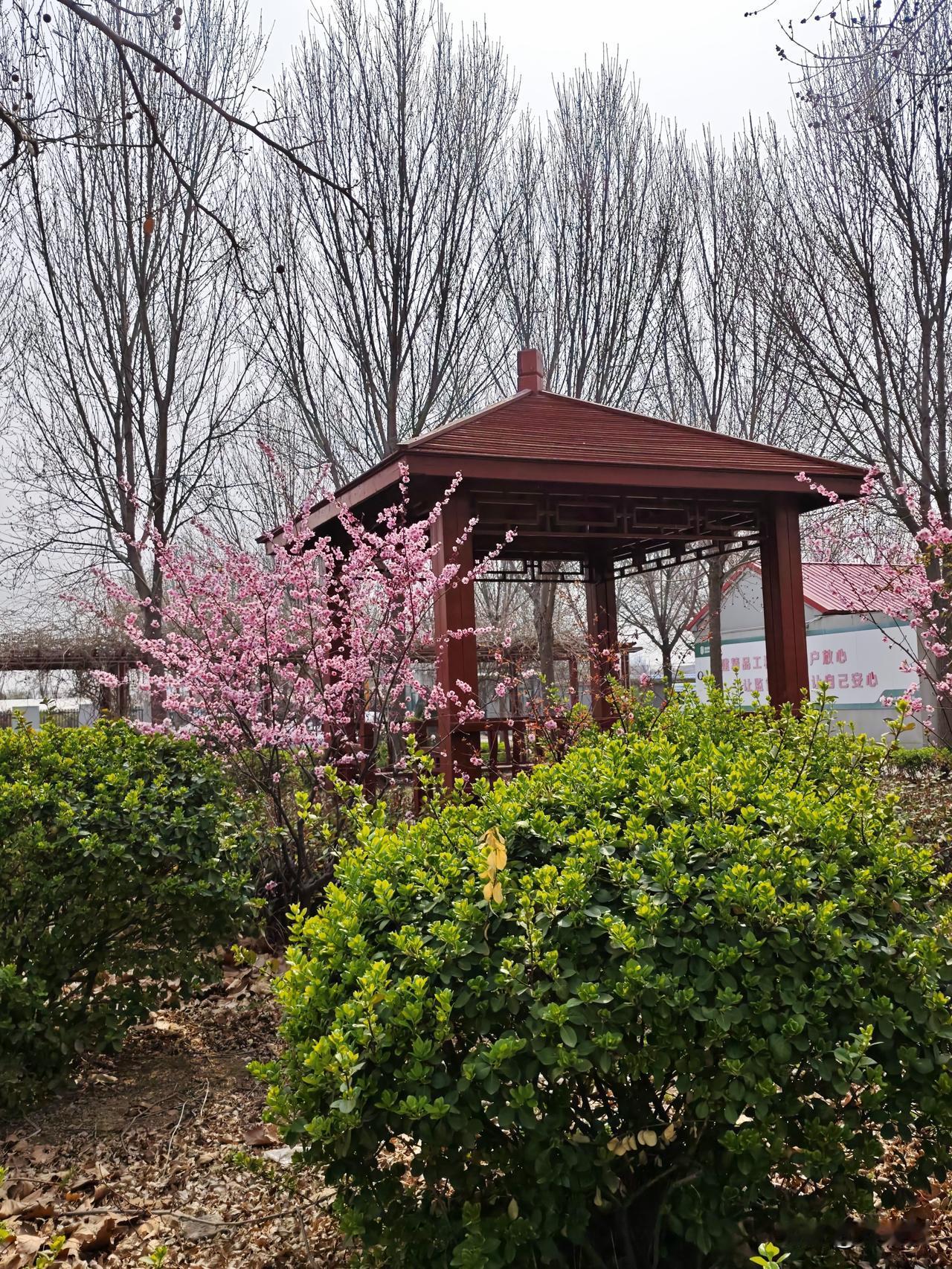 这该s的工作，工资拖欠半年不发！
安置房项目干了，六千万的工程款，过年只给10万