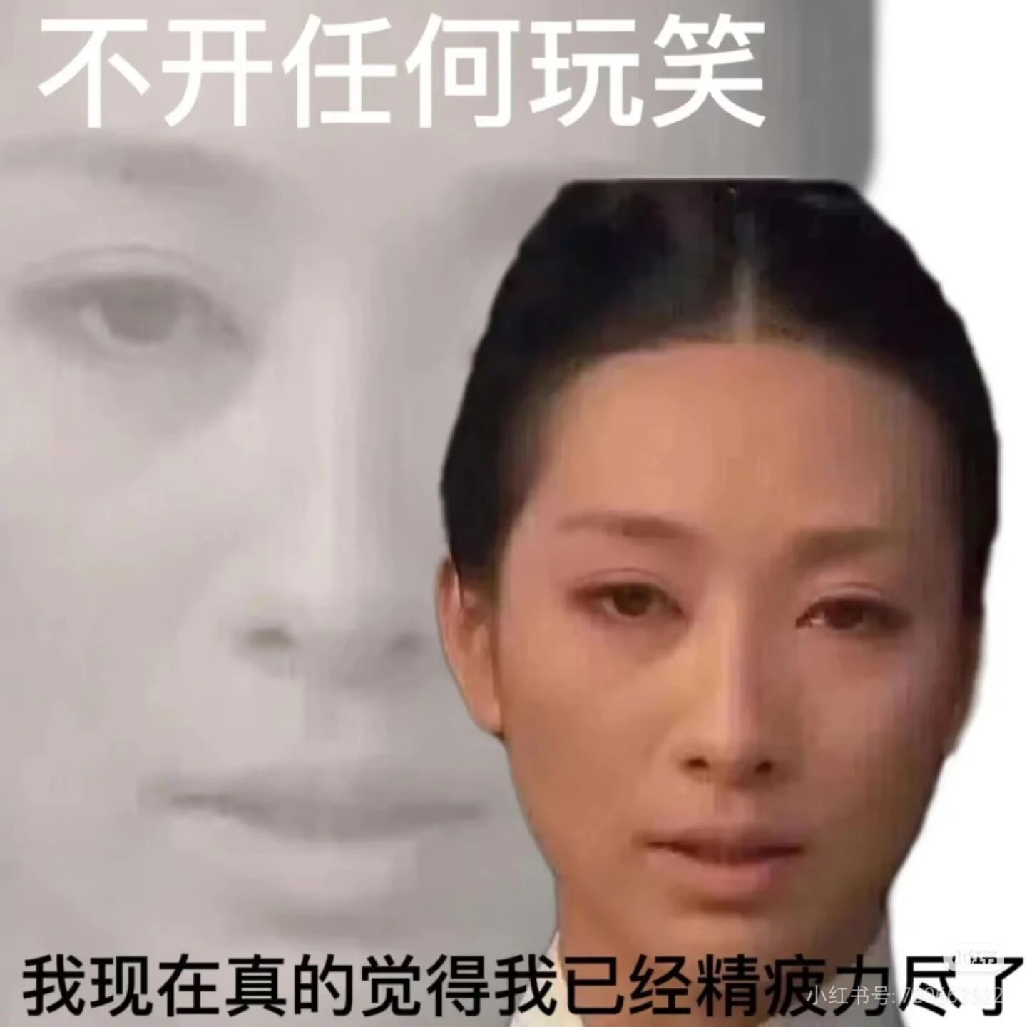 安陵容我已经到了理解你的年纪 