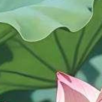 正能量[超话]正能量 每一个在你的生命里出现的人，都有原因。喜欢你的人给了你温暖