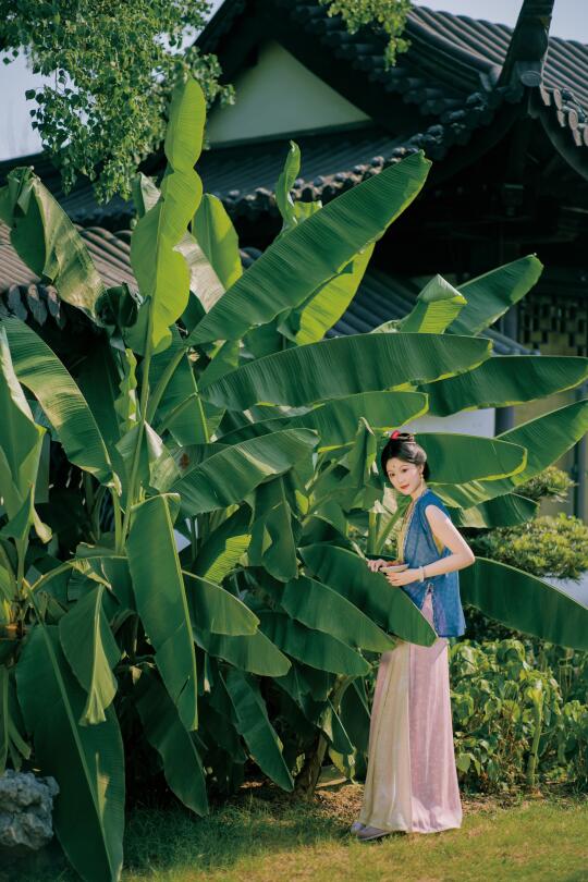 宋•小雨初晴，荷叶才披绿🍃南京约拍