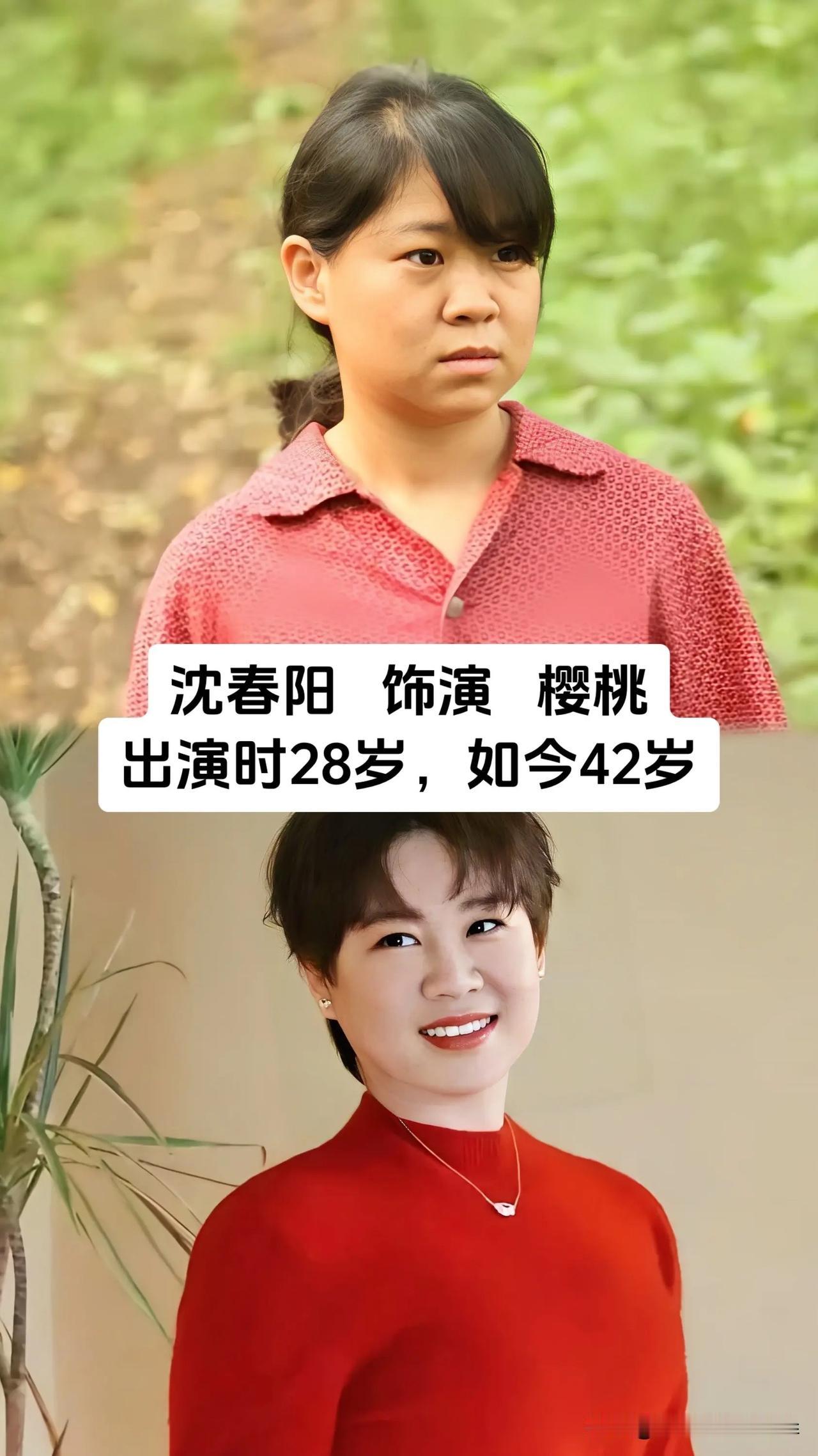 不少人应该都看过这部苦情乡土剧《樱桃》，2012年播出，改编自真实故事。
整部剧
