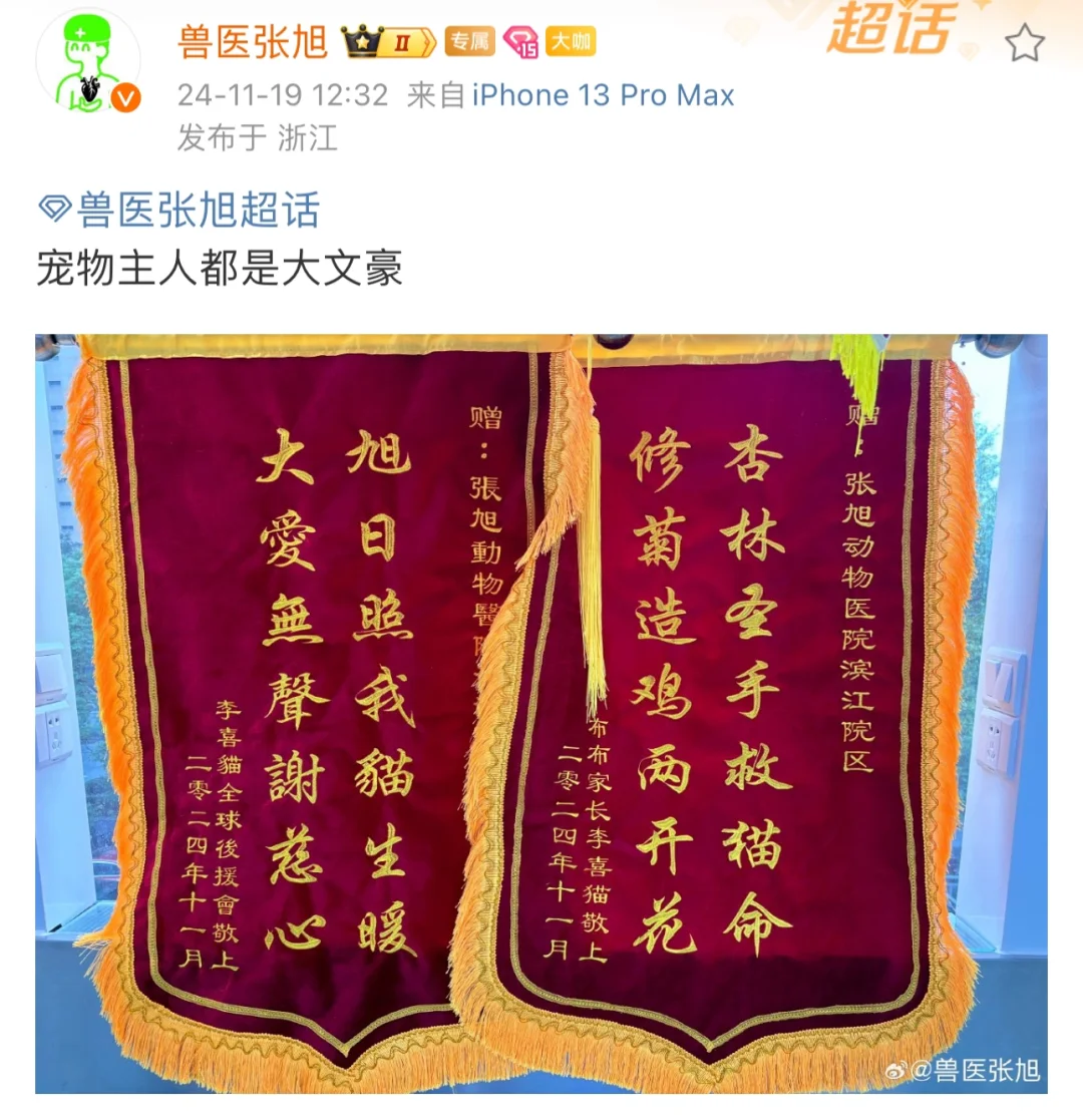 感谢院长救我猫命