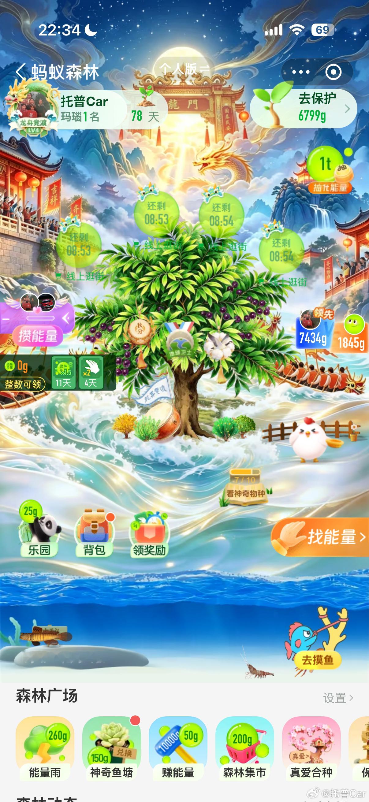 蚂蚁森林[超话]