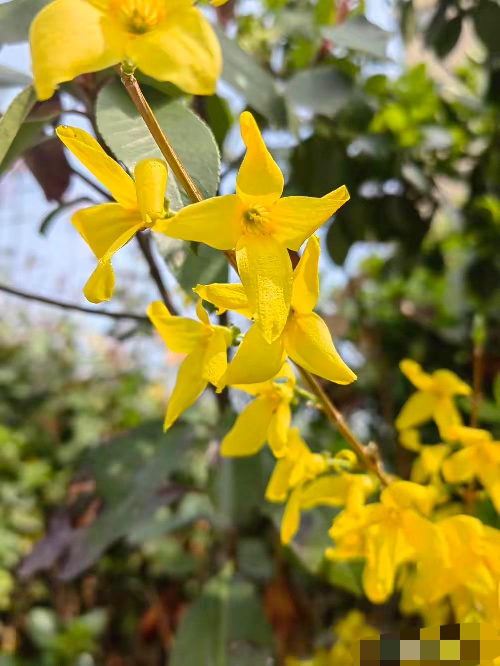 我这辈子最佩服的女人，就是我婆婆。
她一共生了8个孩子——三女五男（一般人真不相