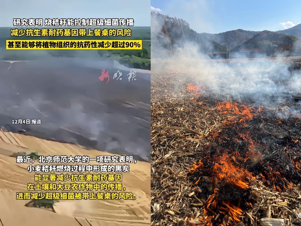 那个日本人的提案，让农业走了多少冤枉路啊！明明知道可能有问题，为啥到现在还没整明