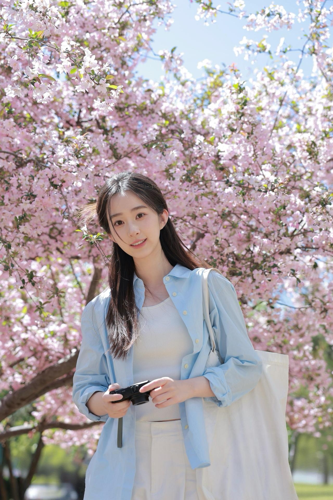 樱花树下笑语，春光正好时。
