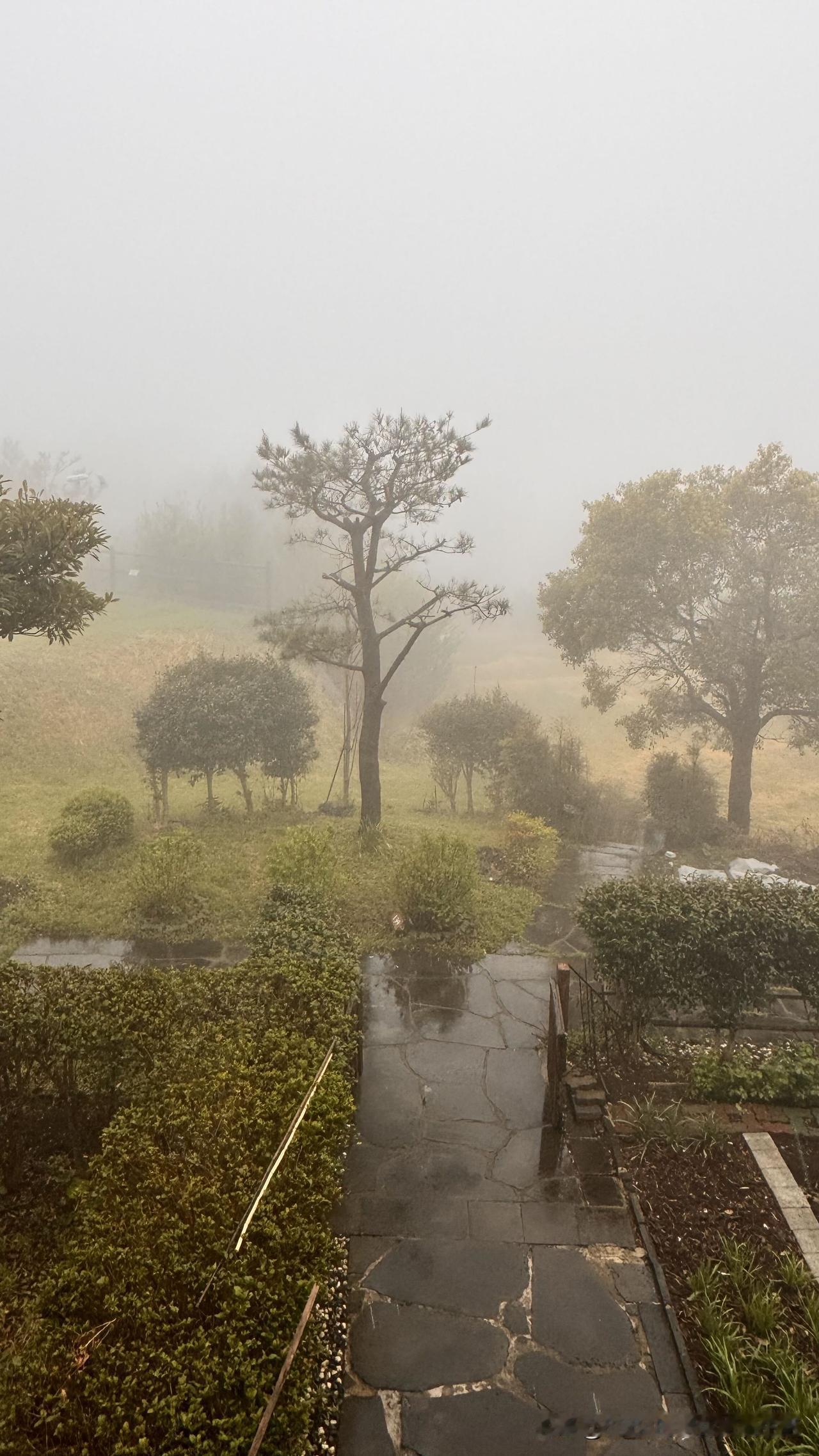 我喜欢春天，不为别的，就是因为吃，春天好吃的东西太多了。

目前旅居济州岛。昨天