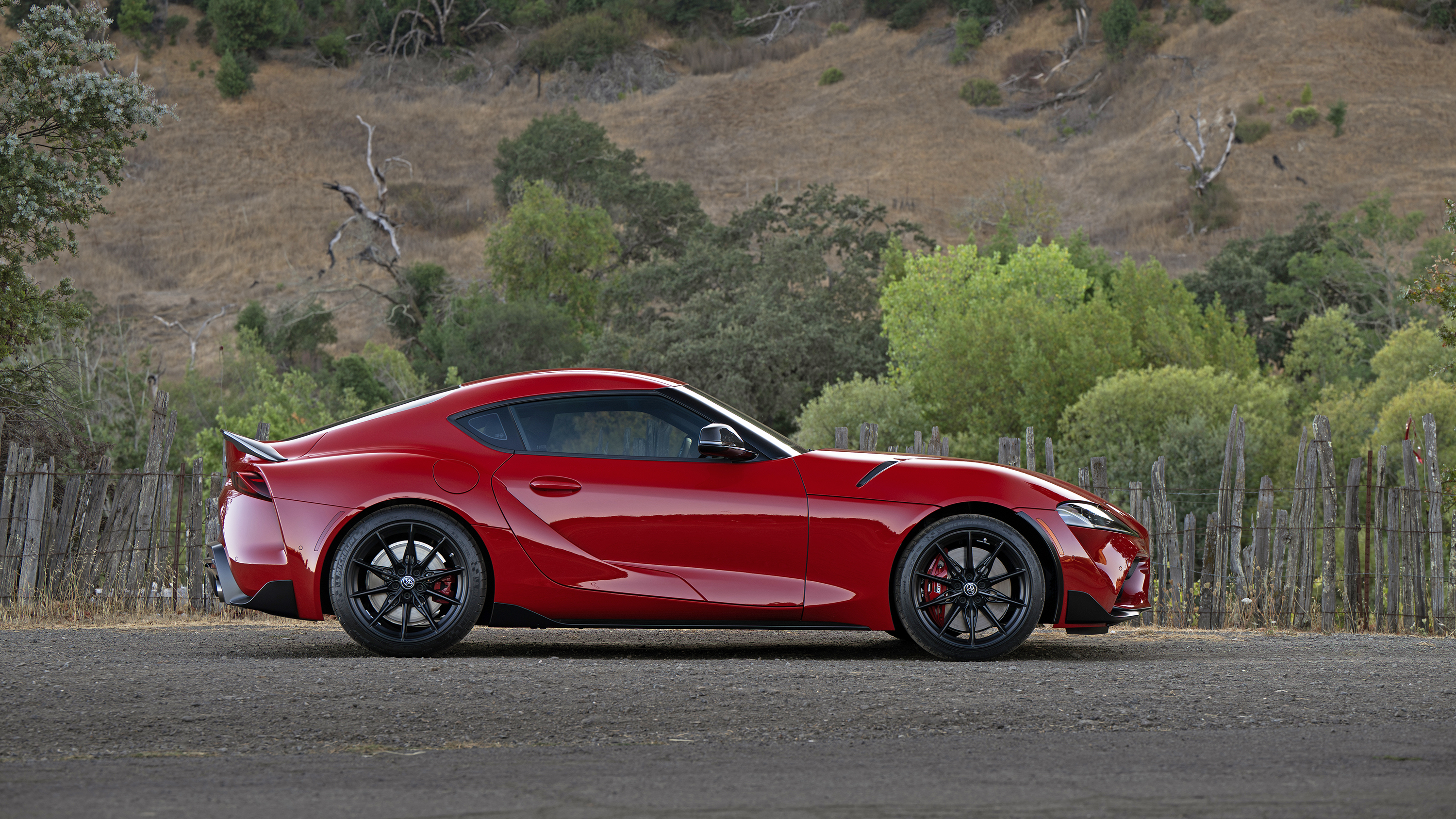 Morning柴斯基的早安图