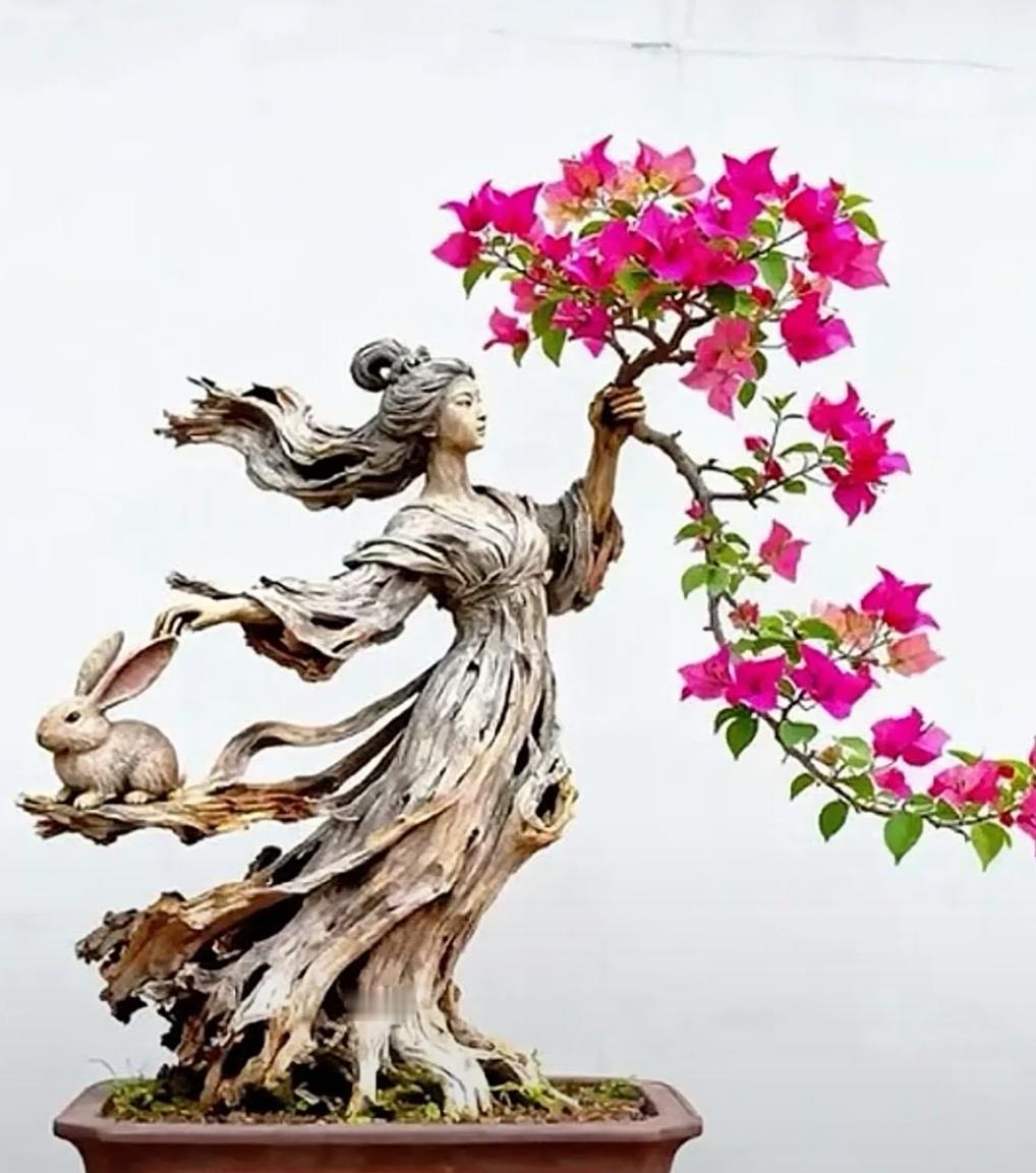 【千钟醉:和问君慕香否】（二钟醉.杏花）/酷侠
梨涡浅浅羞醉嫭，裙叶翩翩起舞娭。