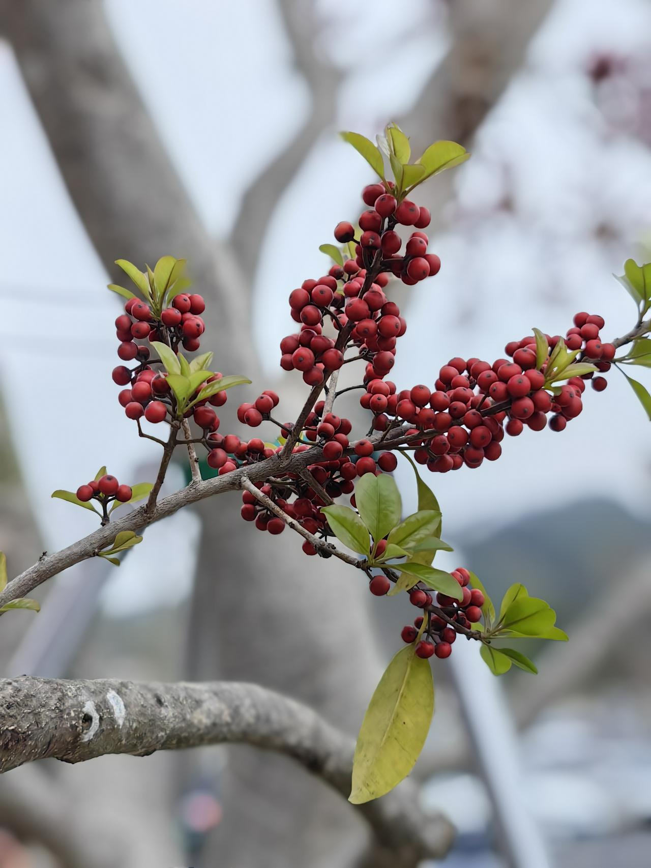 现在的人都怎么了？恩将仇报还倒一耙，社会上的热心肠就是被这些人搞凉了！
据网络信