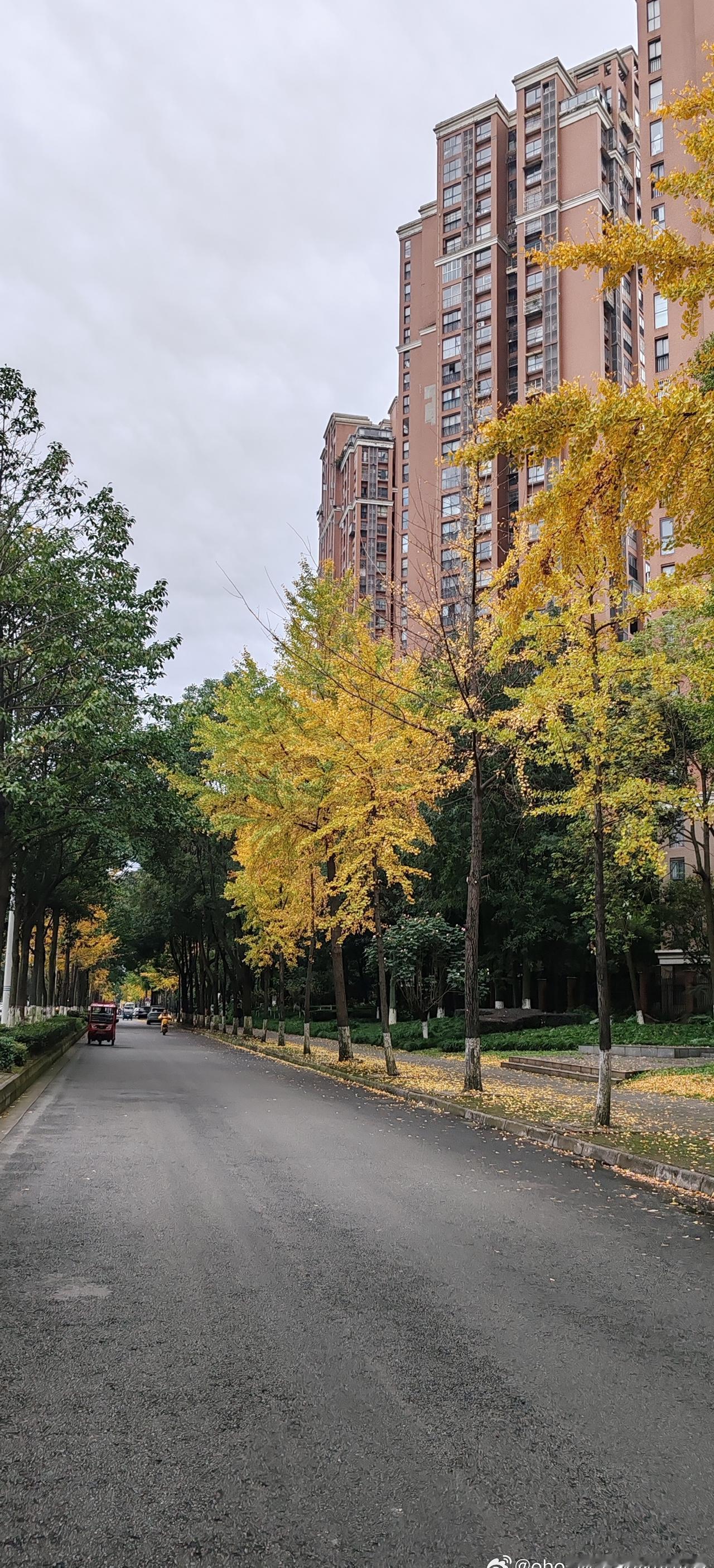 是元气满满的周一吗？哎，一开门就被冷风打了个招呼！
今天这个降温真是实实在在的，