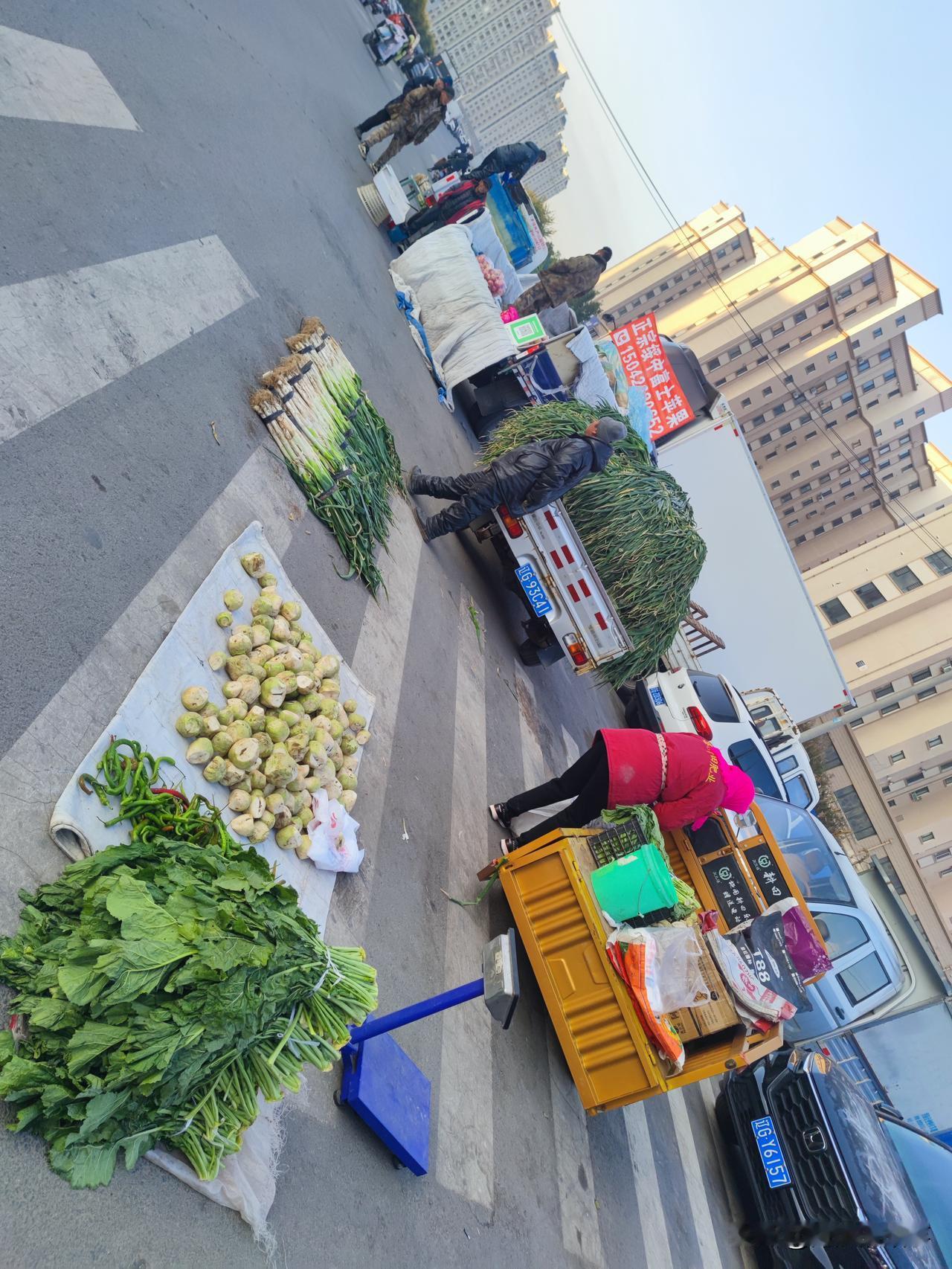 东北这物价确实低，东北大城市的锦州芥菜嘎达5毛钱一斤，线辣椒2块钱3斤，大葱3块