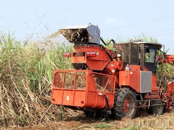 为啥我们要保住国内糖产业链给蔗农稳定收入？国内糖价5400元/吨（国产） 与 国