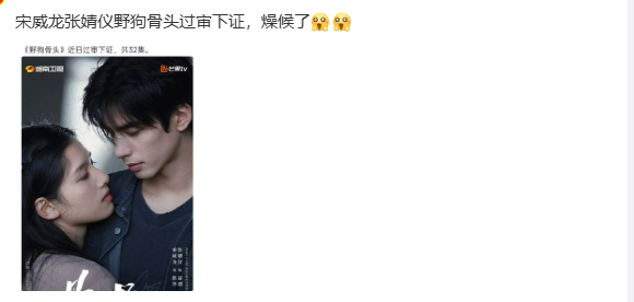 野狗骨头下证了宋威龙张婧仪新剧过审下证 宋威龙张婧仪新剧过审下证，野狗骨头下证了