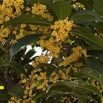 阳光信用 🌞每日一善 🌞阳光信用 在人生的旅途中，如果用心去发现人世间的美好