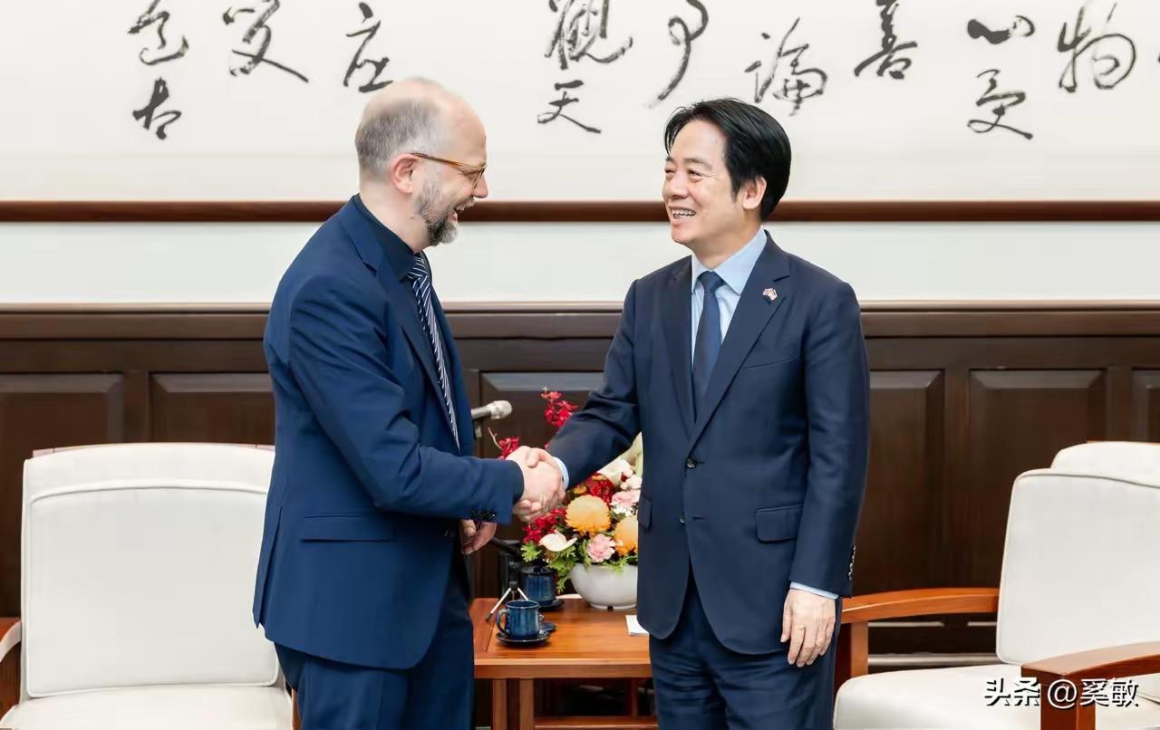 不搭理，台湾很尴尬
5月26日，赖清德在台北接待了德国联邦议院跨党派议员代表团，