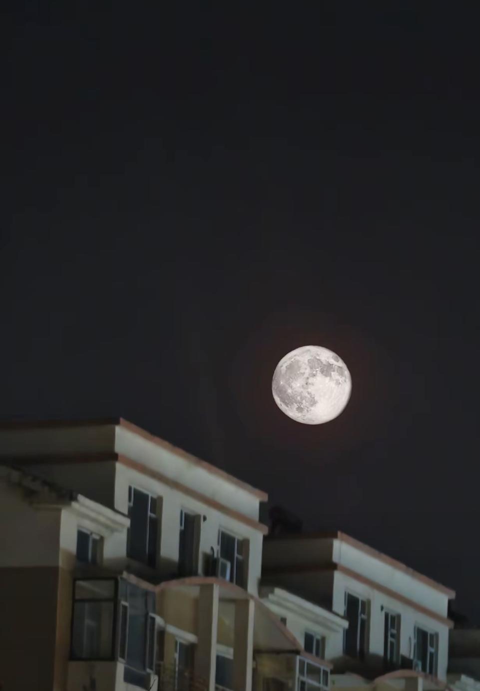 冬日生活打卡季