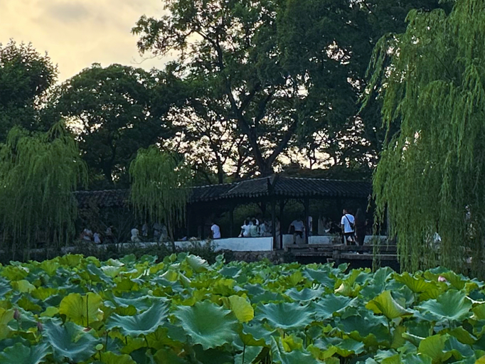 每日一善  阳光信用 常怀悲悯予人便利，细碎温柔拼凑世间万般美好。 