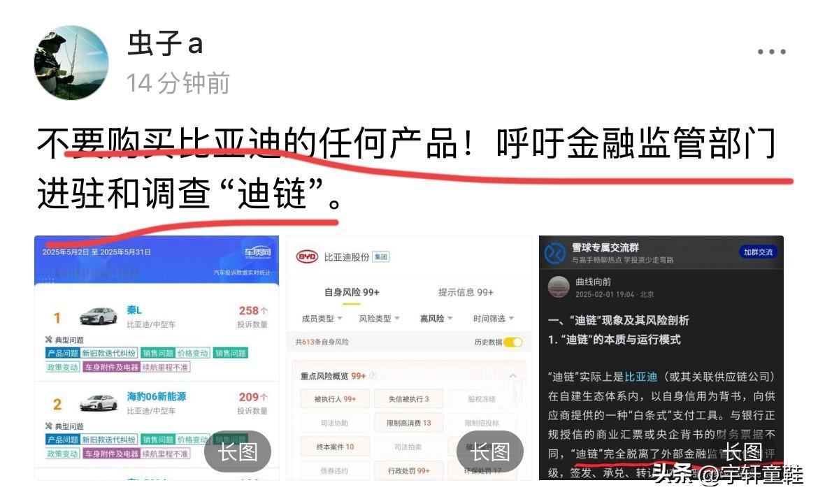 网友：“不要购买任何比亚迪的产品，呼吁金融监管部门进驻和调查迪链！”
监管部门：