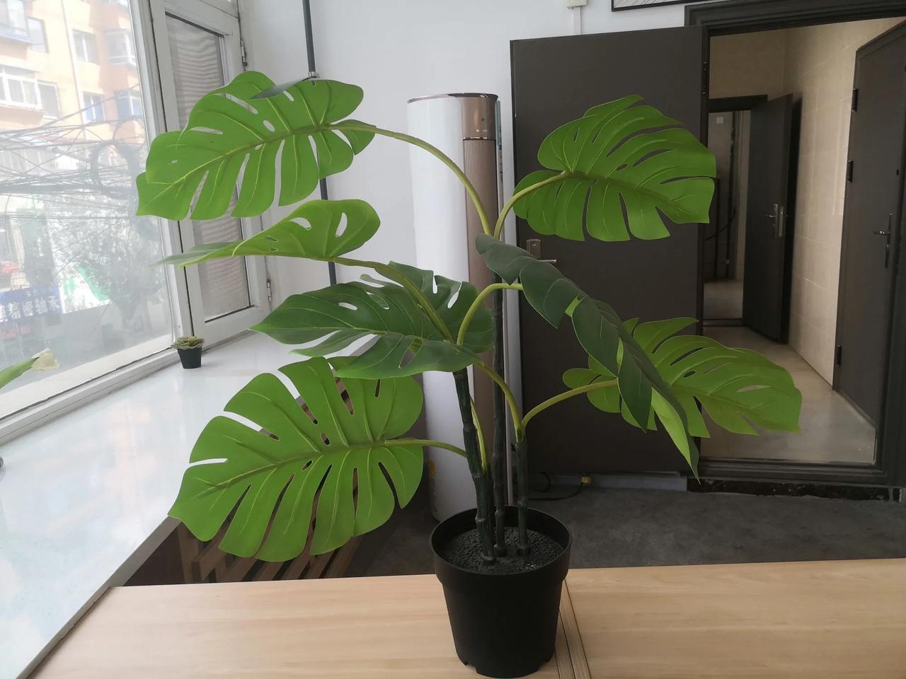 赖清德是死心塌地的“台独分子”，他紧包美国大腿，是认贼作父。但是美国认不认他这个
