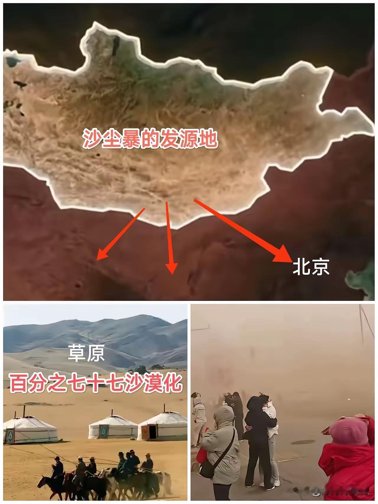 这一看窗外又是黄沙漫天的，真是让人没脾气。

以前总觉得咱们自己多种树就能挡住风