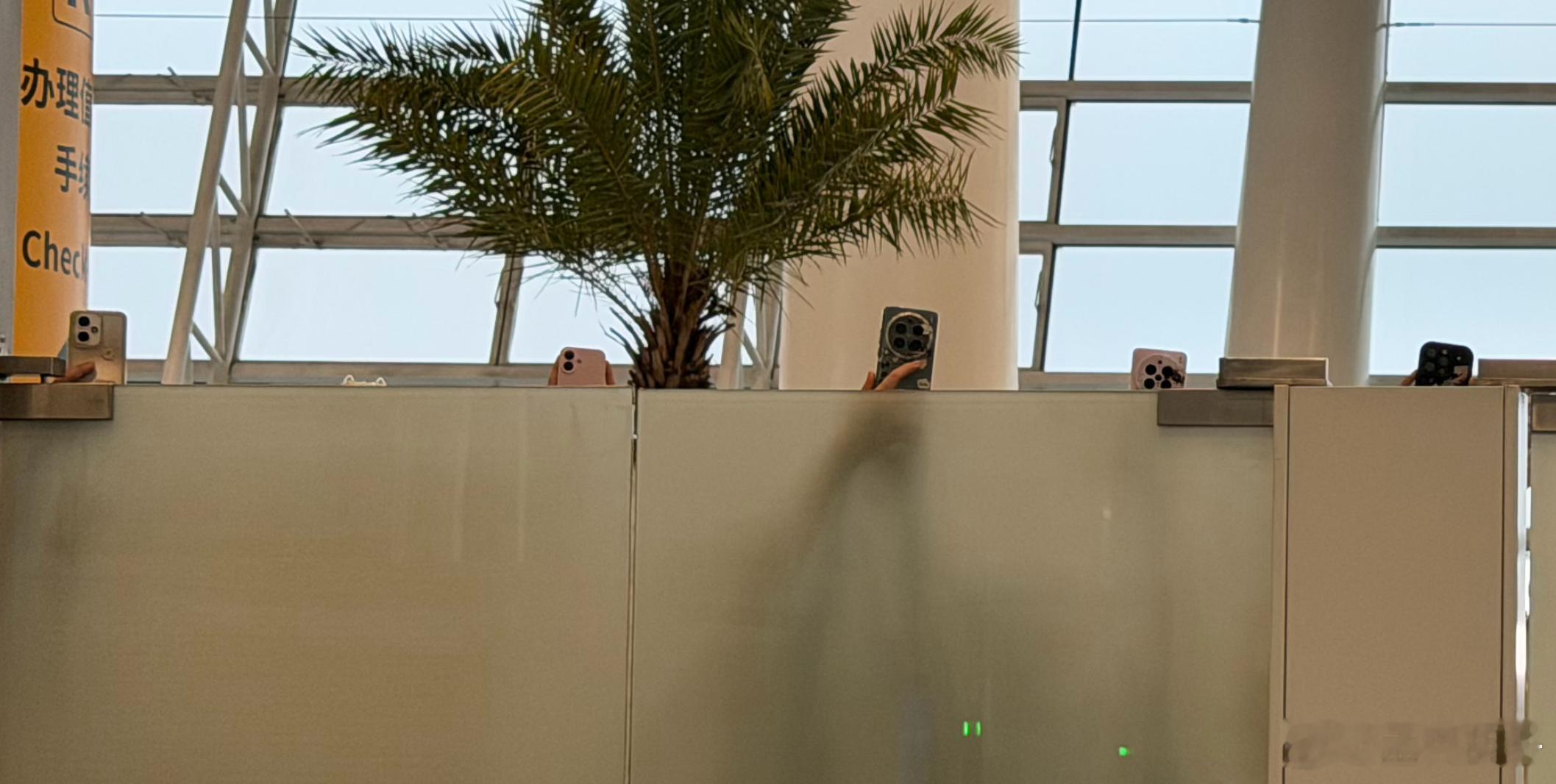 人家是去拍明星的，却出现在镜头里，这几个举着手机拍照的人，回去一看照片，尼玛这谁