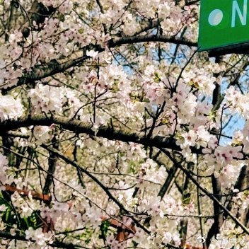 每日一善您好先生一起保护大自然与社会携手做公益关爱唇腭裂儿童关心小动物的生存关怀