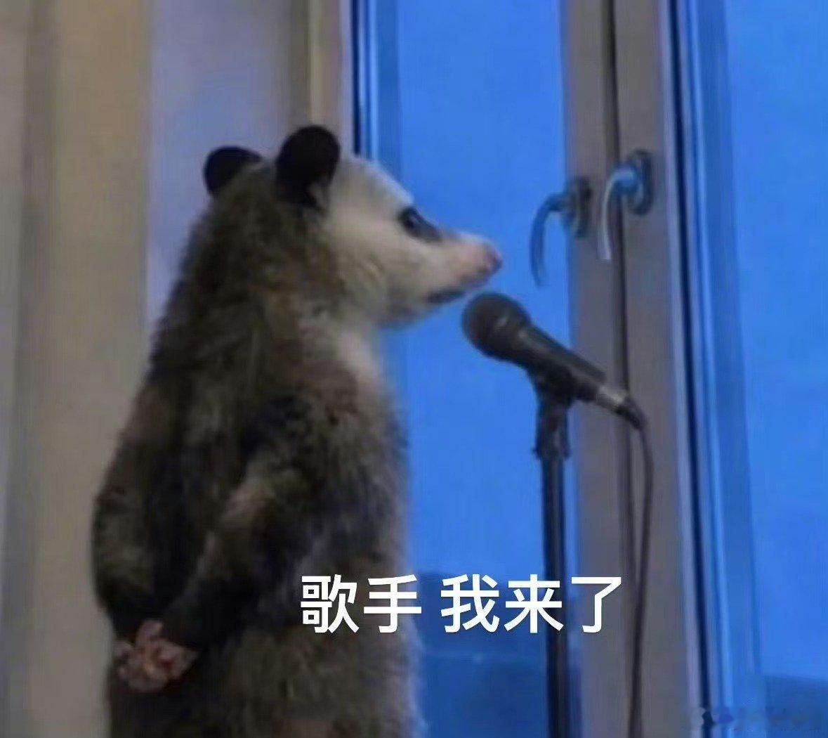 杨坤说歌手不是那么好当从采访感受到歌手的不易，录播音综很难打动听众，直播虽有压力