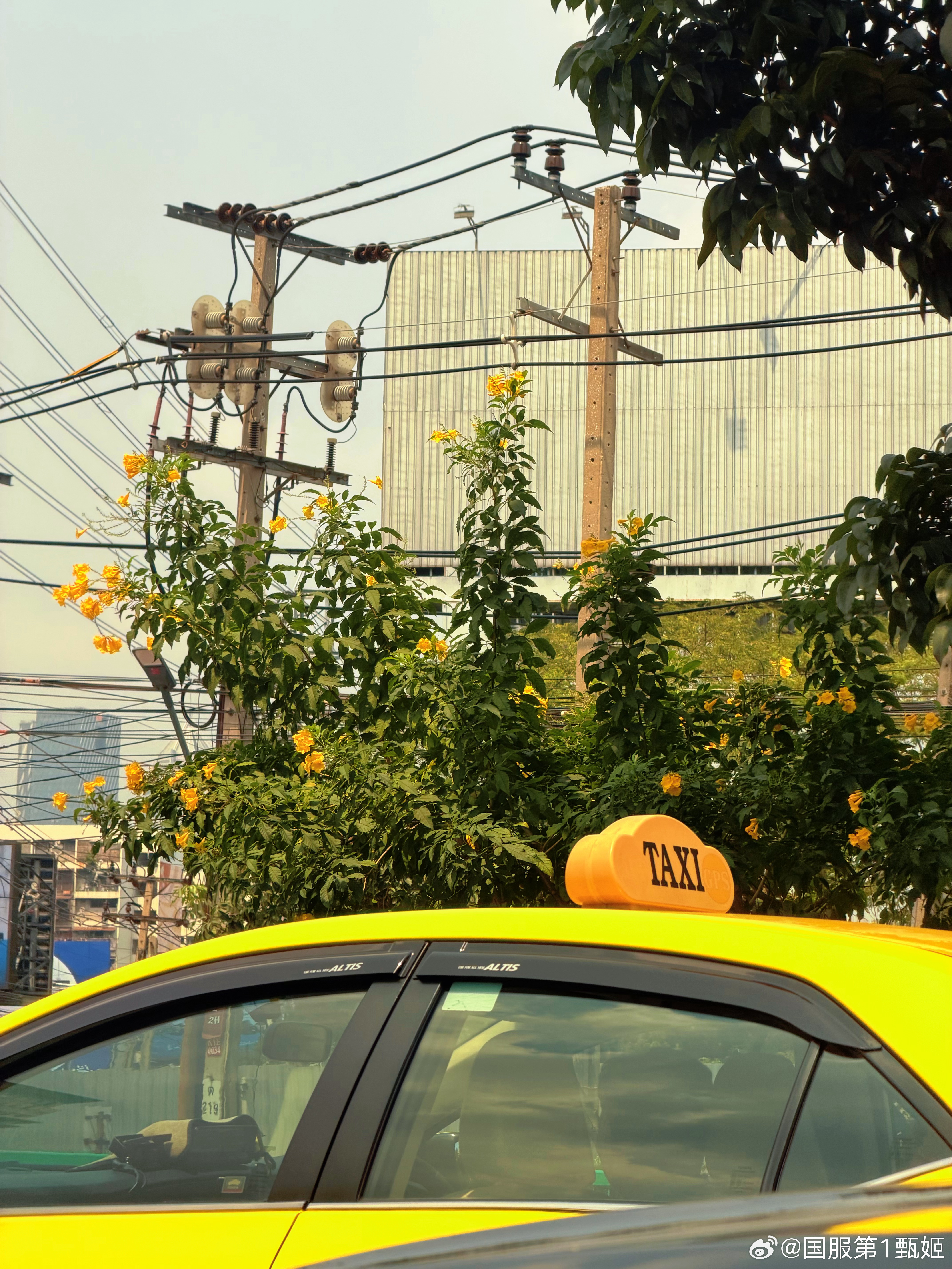 又在想念夏天💛 