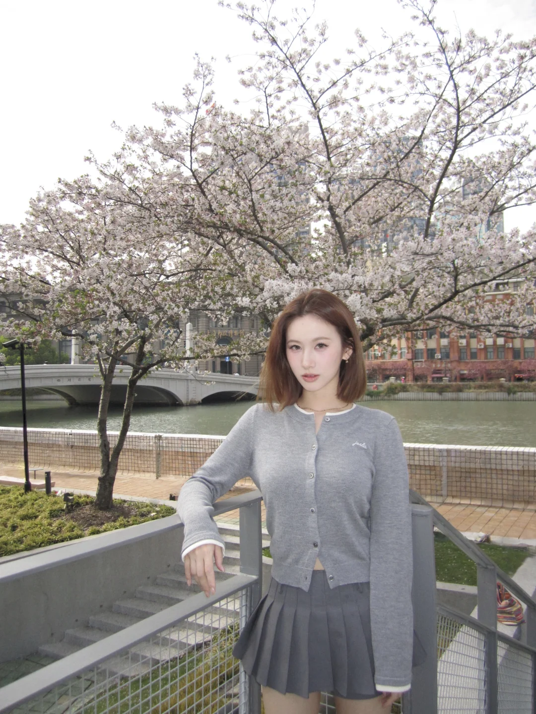 人间四月 在上海看樱花🌸