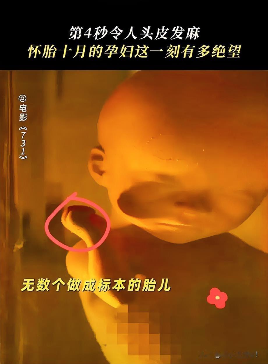 《731》电影刚看完，

不知道有没有其他男生和我一样，建议还是不要和女朋友一起