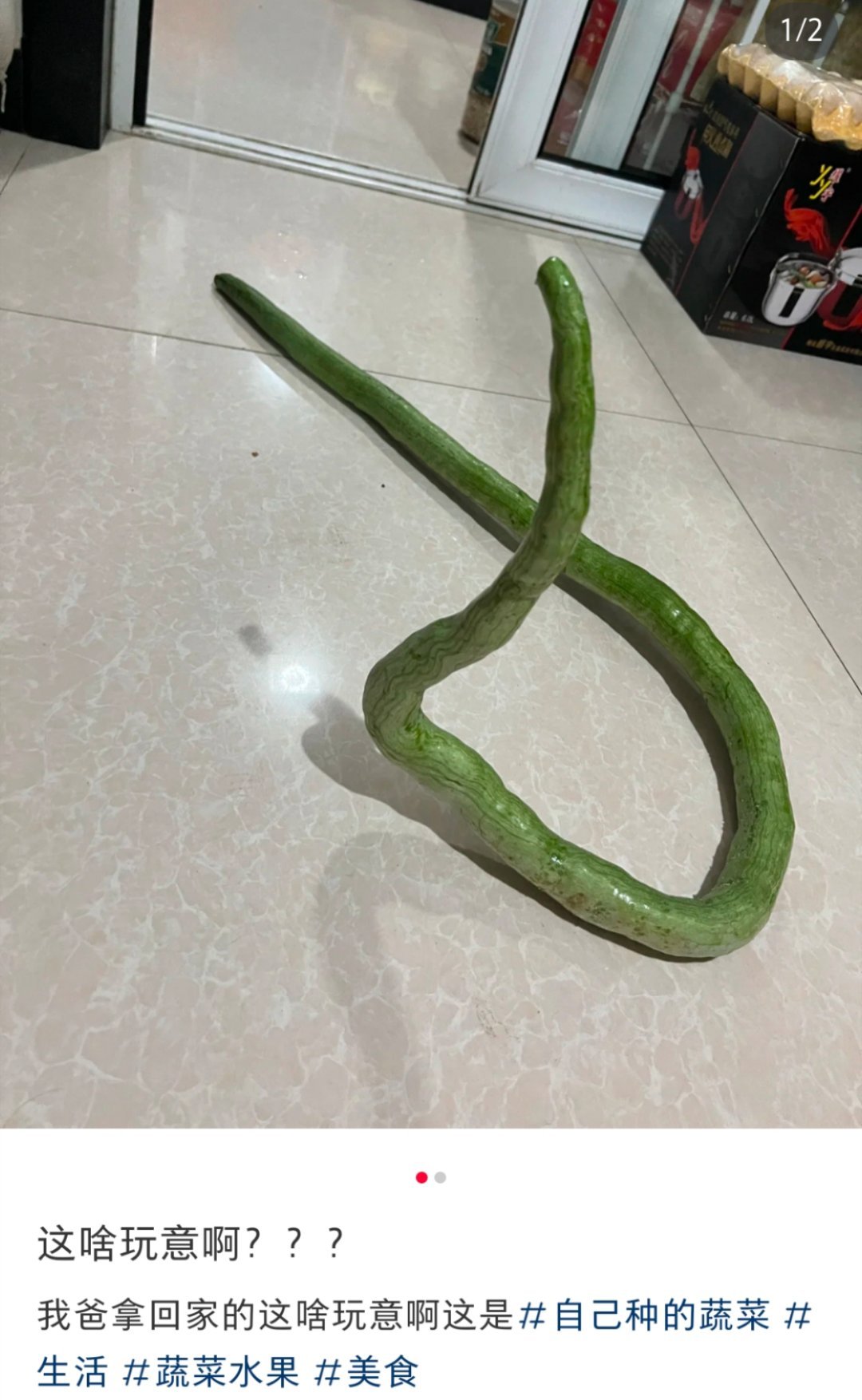 我要是一进门看到这，能吓到蹦起来[允悲] ​​​