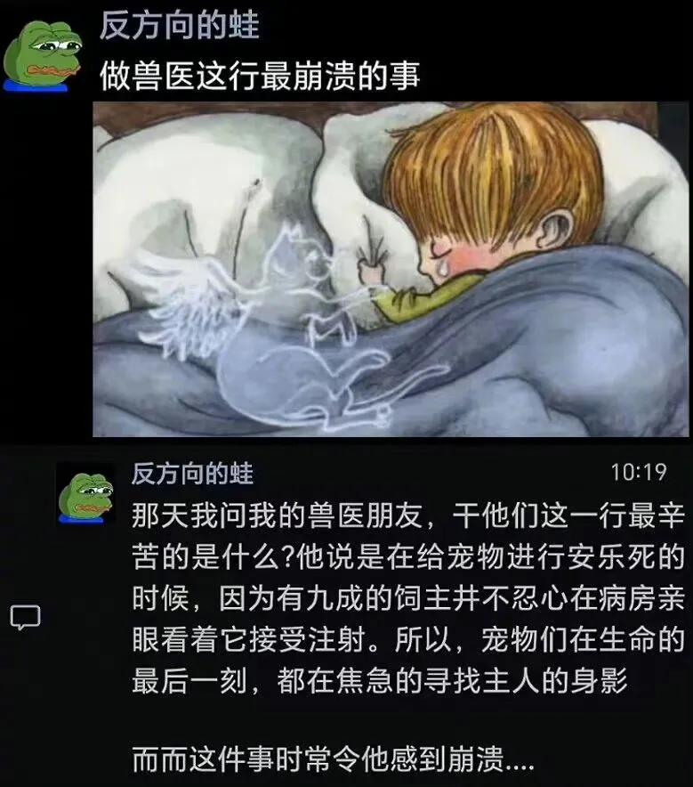 做兽医这行最崩溃的事 ​​​