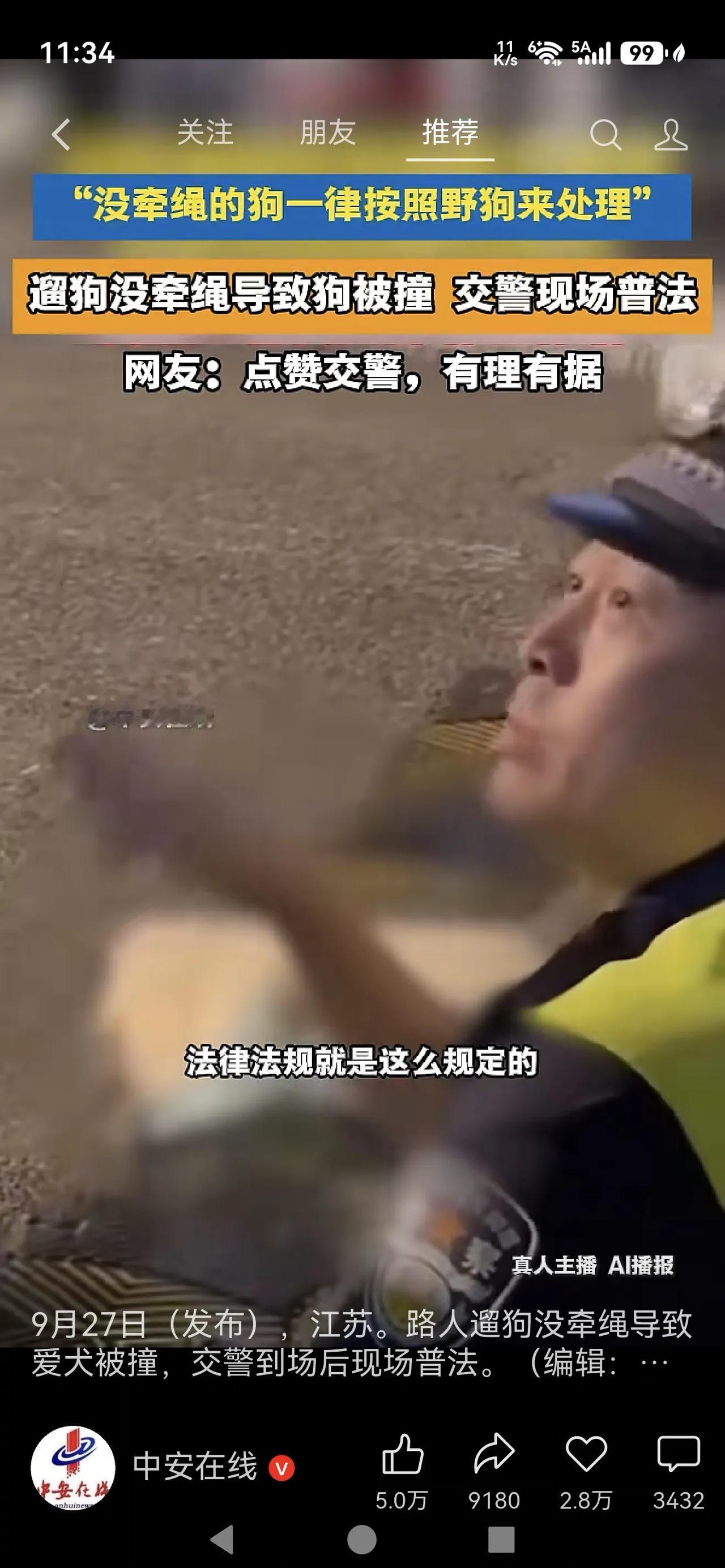 没牵绳的狗一律按野狗处理，交警现场普法

多地执法现场，交警联合城管开展文明养犬