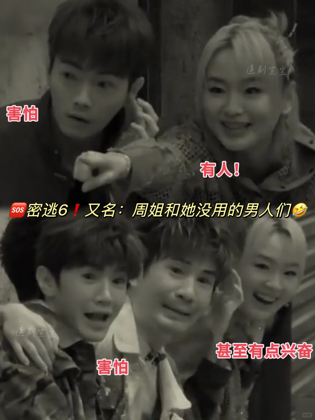 🆘陈哲远&许凯：她怎么能有种成这样❗️
