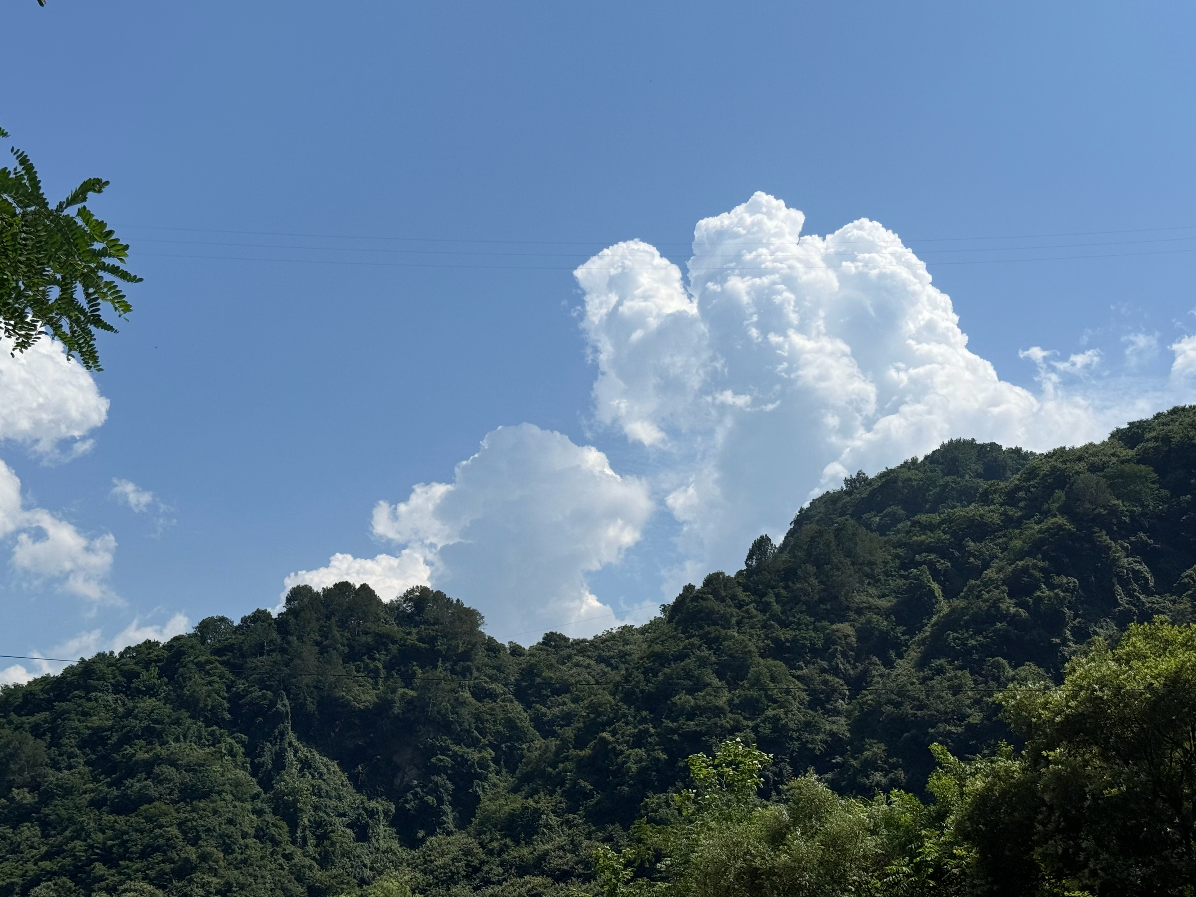 周末进山夏季的陕西人不语，只是一味的进山避暑我的日常plog 西安·不想上班-茶