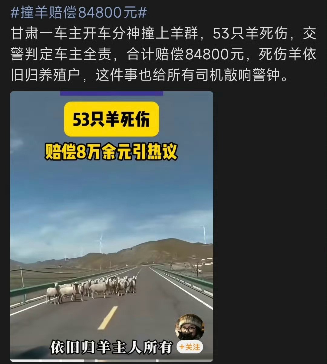 青甘大环线撞羊我现在就在环线上，咋撞死伤那么多，才赔付8万多块钱？太便宜了啊[笑