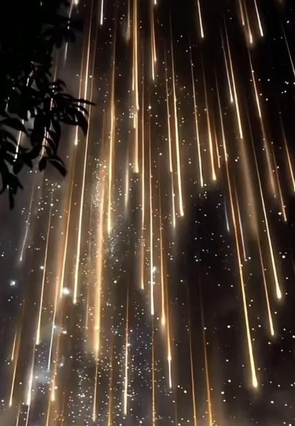 天南地北大拜年没有想到这年后竟然看了一个最美的烟火。这一次特朗普是踢到铁板上了。