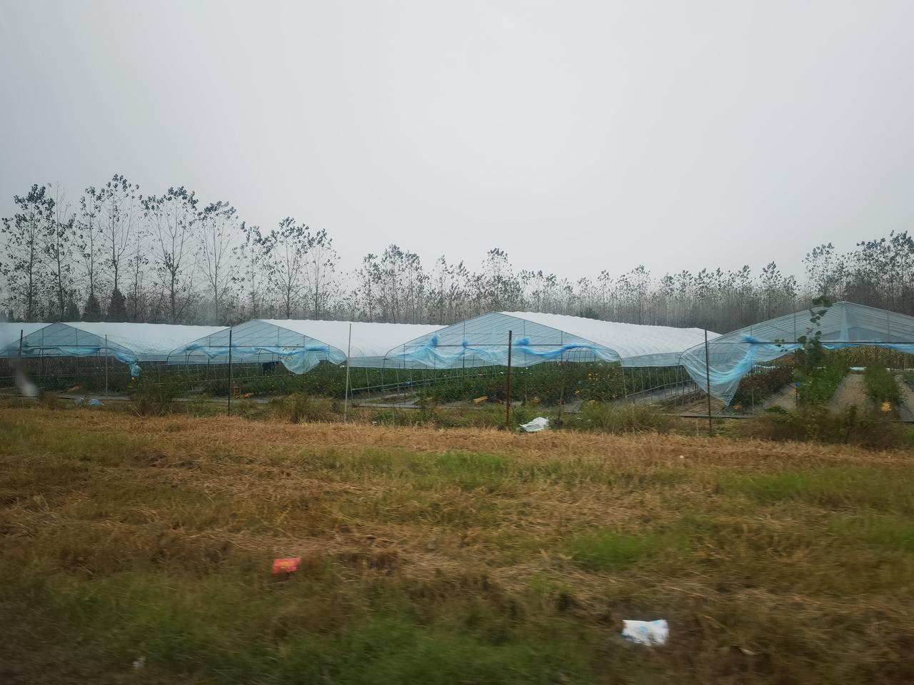 有个叫东桥某语的博主，把农民当年的苦干当成要光环，要光荣，把老农民老有所养的要求