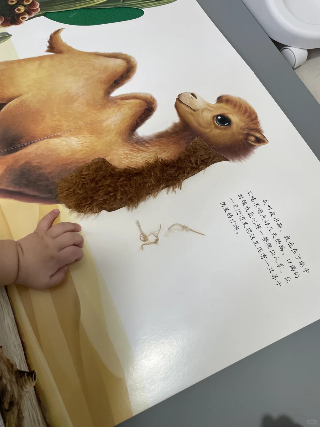 避雷这本触摸书