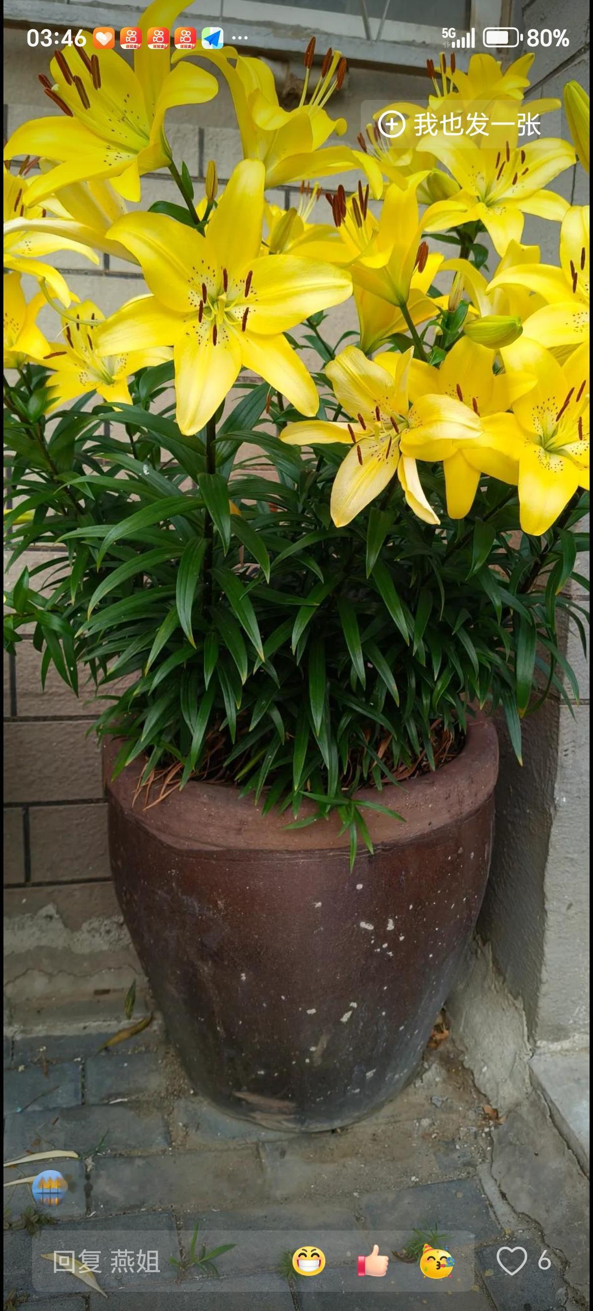 十月七日， 今天是国庆长假最后一天，从平顶山市火车站到郑州市中心火车站的长途客车