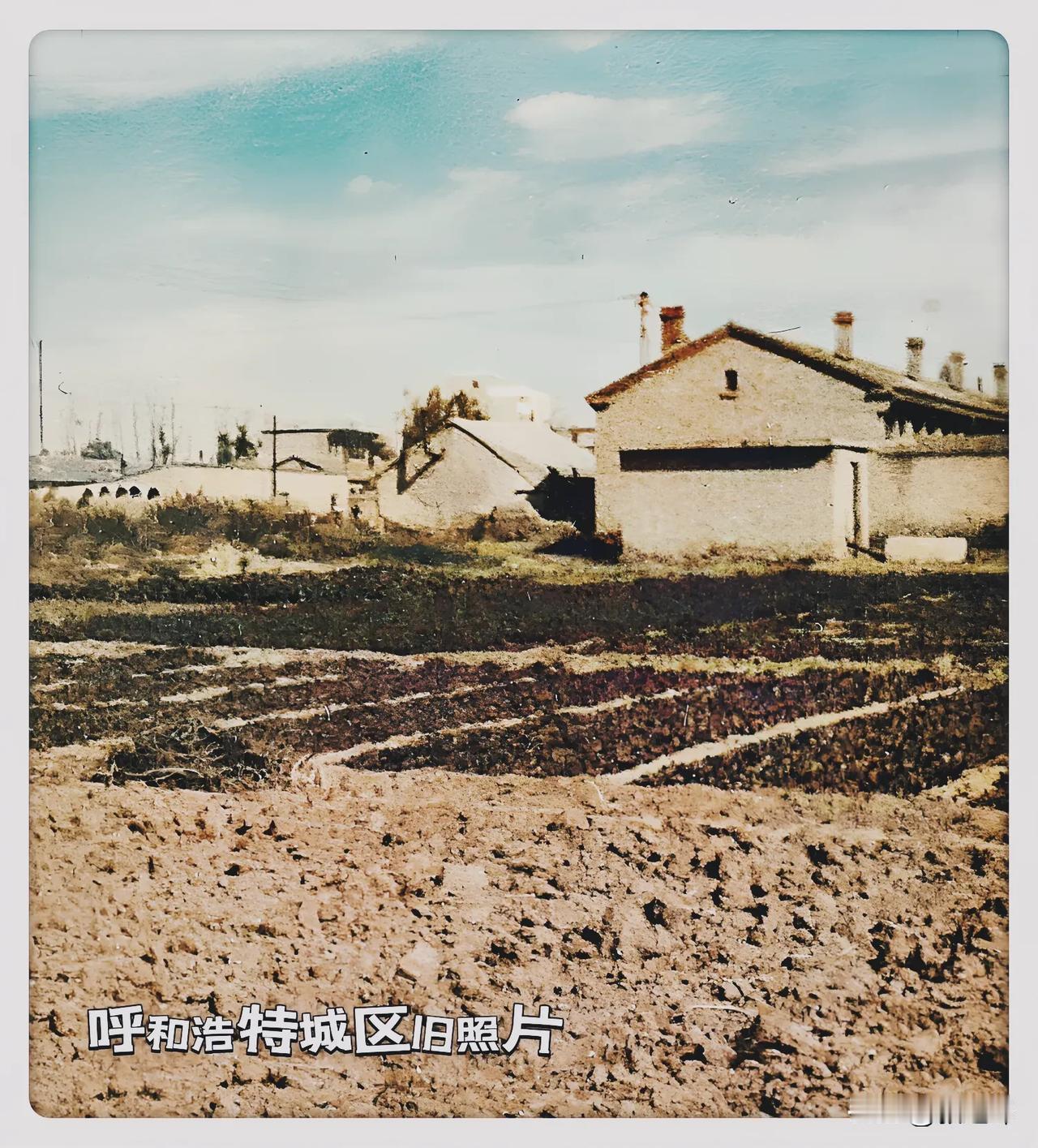 呼和浩特城区旧照片：呼市的中老年朋友们这一张旧照片里的场景你还熟悉吗吧，你们感觉