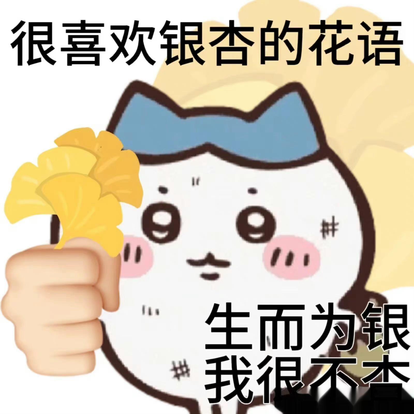 我最大的共情力就是替人尴尬😅 ​​​