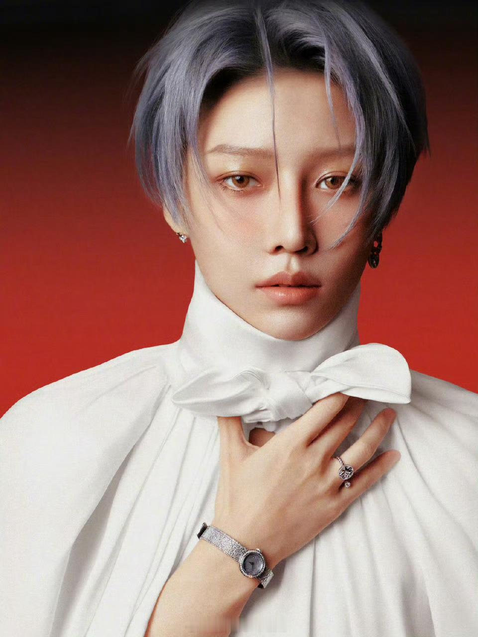 刘雨昕仙那度2.0巡回演唱会·苏州站佩戴的是，迪奥 Rose des Vents