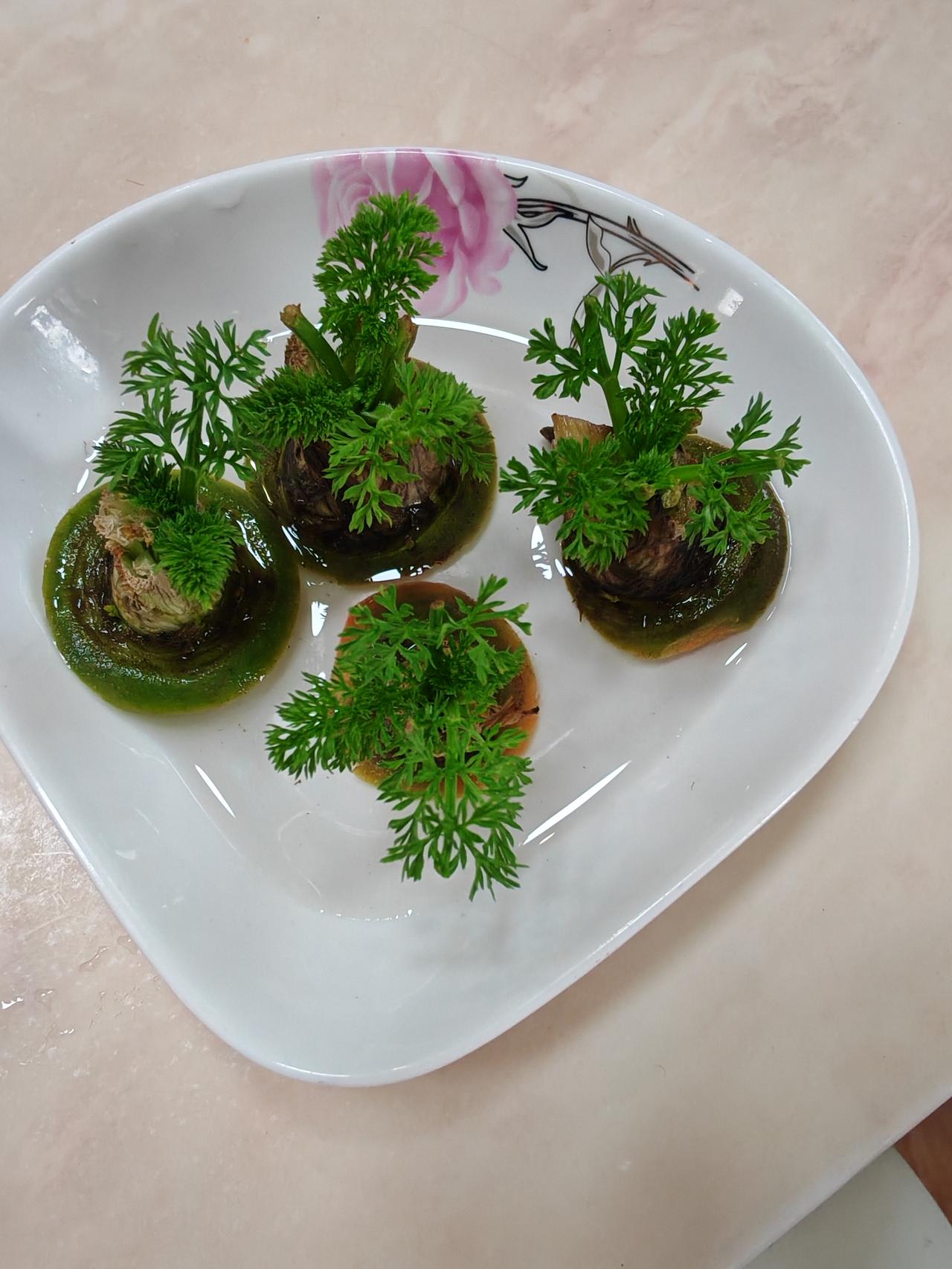 今年冬天的不同把胡萝卜🥕的头切下来水培，得到可可爱爱的绿色小植物。