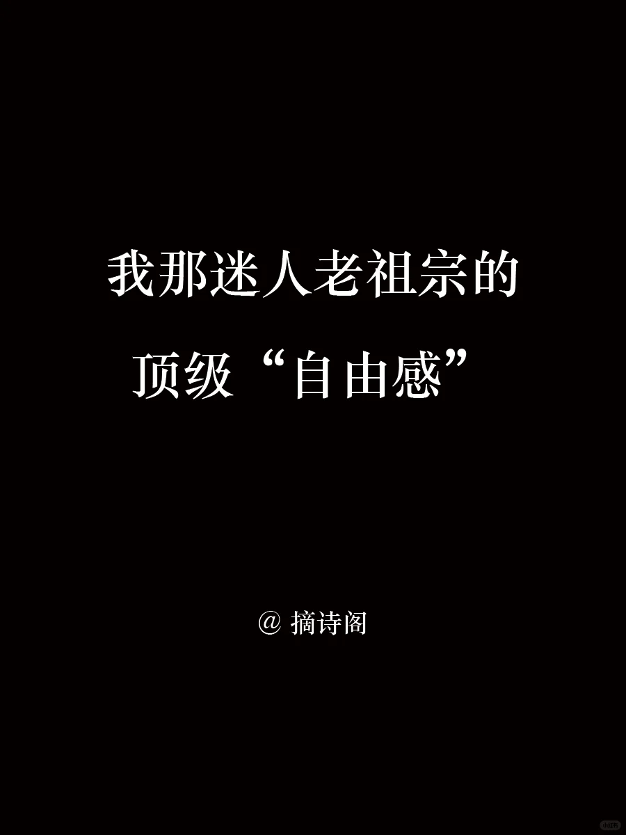 我那迷人老祖宗的顶级自由感